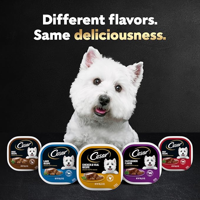 Cesar Wet Dog Food Steak Lovers Variety Pack with Real Meat, 3.5 oz. Trays (36 Count, Pack of 1)