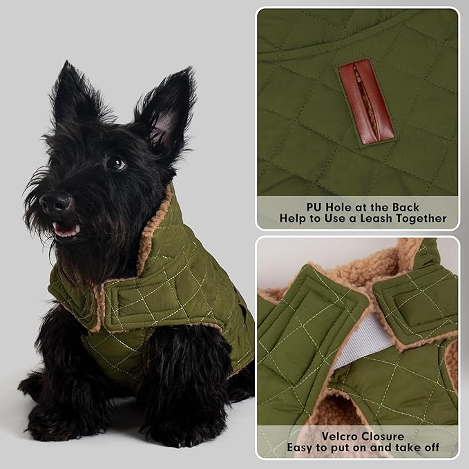 azuza Dog Jacket Waterproof & Windproof Dog Coat for Small Dogs with Thick Fleece, High Collar with Leash Hole, Adjustable Velcro & Elastic Belly, Army Green, S