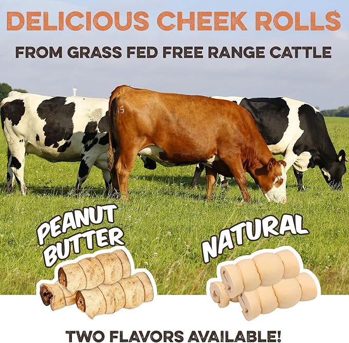 Premium Beef Cheek Rolls for Dogs 5-7" - (5-Pack) Long Lasting, Safe & Natural Rawhide Alternative Chews, Ideal for Large Dogs & Aggressive Chewers, Supports Dental Health & Digestion