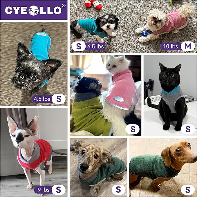 cyeollo 2 Pack Fleece Dog Sweater Vest Dog Sweatshirt Reflective Lightweight Doggie Clothes for Small Dogs Girl Pet Apparel Pink, Fuschia, S