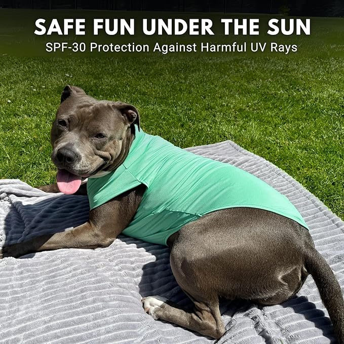 Spark Paws Sunblock Dog T-Shirt, SPF30 Protection, Lightweight Breathable Quick Dry for Dogs with Sensitive Skin - Peach & Mint (Set of 2) - 5XL