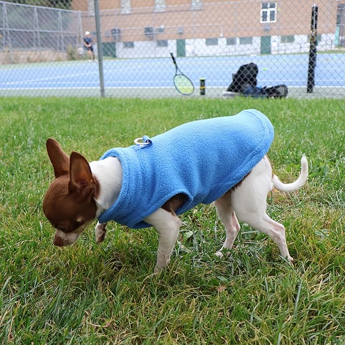 JACKO & CO - Fleece Vest Dog Sweater with Leash Ring - Soft, Warm & Lightweight Pullover Coat for Small & Medium Dogs, Puppies & Cats - Cozy Fall/Winter/Spring Pet Jacket (Blue, Medium 6-10lbs)