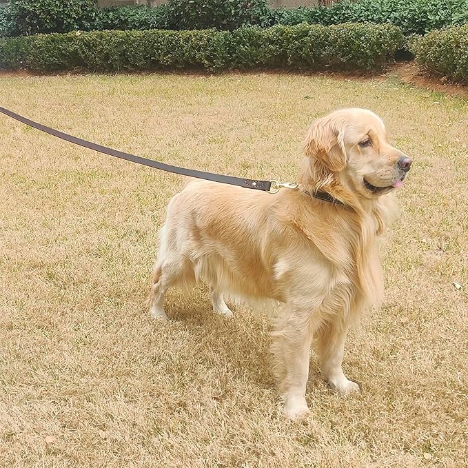 Leather Dog Leash 6 ft x 1 inch,Strong and Soft Heavy Duty Genuine Leather Dog Leash for Large, Medium, Small Dogs Premium Leather Leash for Dogs