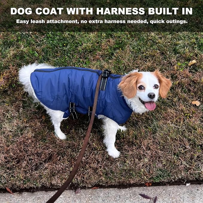 Medium Dog Coat with Harness Built-in, Waterproof Reflective Fleece Lined - Warm Windproof Winter Jacket with Back Zipper, Cold Weather Snow Dog Coats - Blue - M