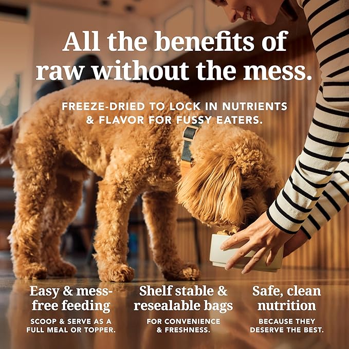 K9 Natural Lamb Freeze Dried Dog Food, High-Meat Natural Complete Meal or Meal Toppers for Dogs, Grass-Fed Lamb from New Zealand, Grain-Free, GMO-Free, Complete & Balanced Nutrition, 3.5oz