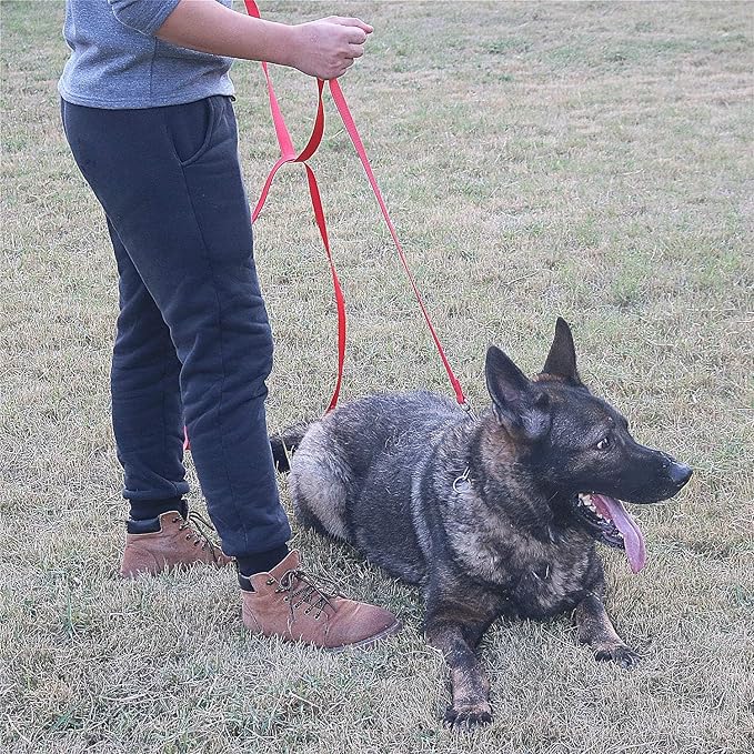 Dog/Puppy Obedience Recall Training Agility Lead - 15ft 20ft 30ft 40ft 50ft Training Leash - Great for Play, Camping, or Backyard (Military Green, 30 Feet)