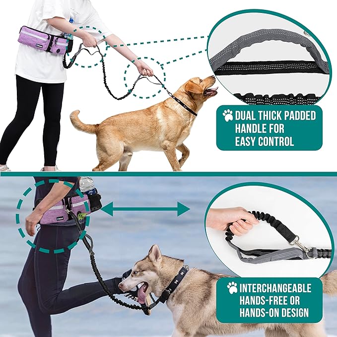 PetAmi Hands Free Dog Leash, Running Leash Belt Bag for Walking, Jogging, Waist Double Zipper Pouch with Poop Dispenser, Dual Padded Handles Reflective Bungee Single, Purple, 1 Leash