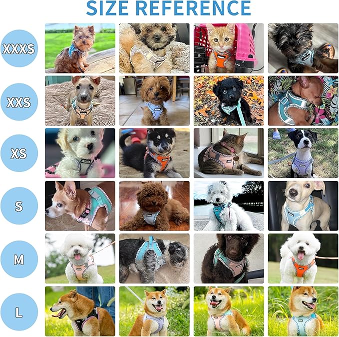 AIITLE Tiny Dog Harness - Lightweight Mesh Step-in Vest for Puppy, Reflective & Escape-Proof Design with High-Stick Magic Tape - Indoor/Outdoor Use for Chihuahua, Maltese, Shih Tzu(Blue, XXXS)
