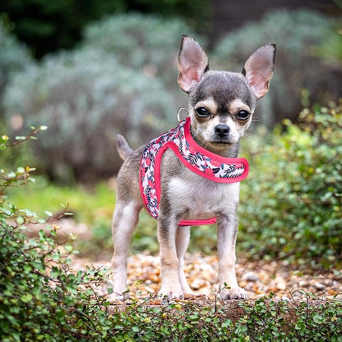 Mile High Life Dog Harness, Air Mesh Floral Vest Harness for 20 lbs Small Dogs & Cats, Easy Get on Adjustable Easy Closures Both Neck and Chest(Peony, XS Chest 14"-16")