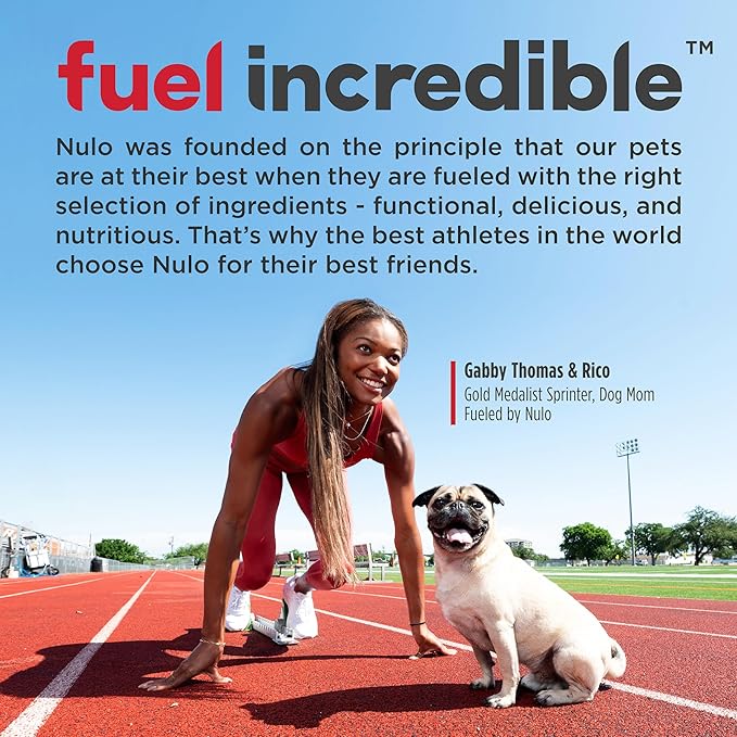 Nulo Freestyle Limited Ingredient Small Breed Food, High-Protein Turkey Recipe, Grain-Free Natural Dry Dog Food for Adult Dogs & Puppies with Food Sensitivities, Single Animal Protein, 5.5 lb Bag