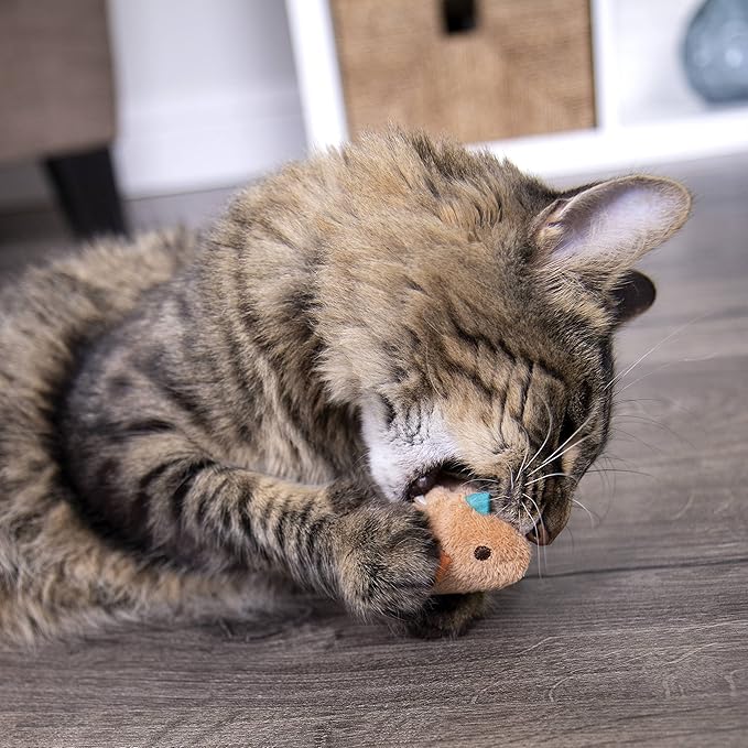 SmartyKat Chickadee Chirp Electronic Sound Cat Toy, Contains Catnip, Battery Powered - Light Brown, One Size