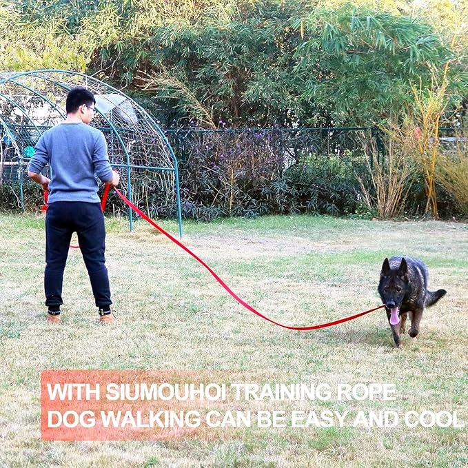 Dog/Puppy Obedience Recall Training Agility Lead - 15ft 20ft 30ft 40ft 50ft Training Leash - Great for Play, Camping, or Backyard (Military Green, 20 Feet)