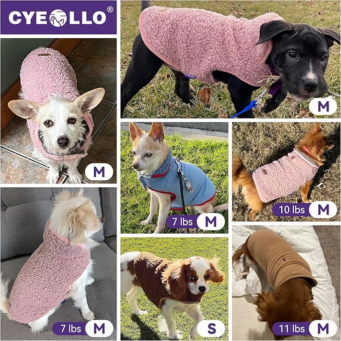cyeollo Warm Dog Coat Sherpa Dog Winter Coat, Reversible Fleece Dogs Jackets Sweater Vest for Small Dogs Male with Leash Hole, Soft Cold Weather Pet Coats, Rose Red S