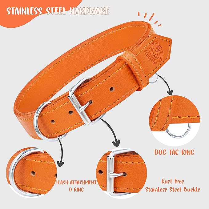 Riparo Dog Collar - Genuine Leather Dog Collars - Adjustable Dog Collars - Heavy Duty Hardware for Medium Large and Extra Large Dog Breeds (XXL, Orange)