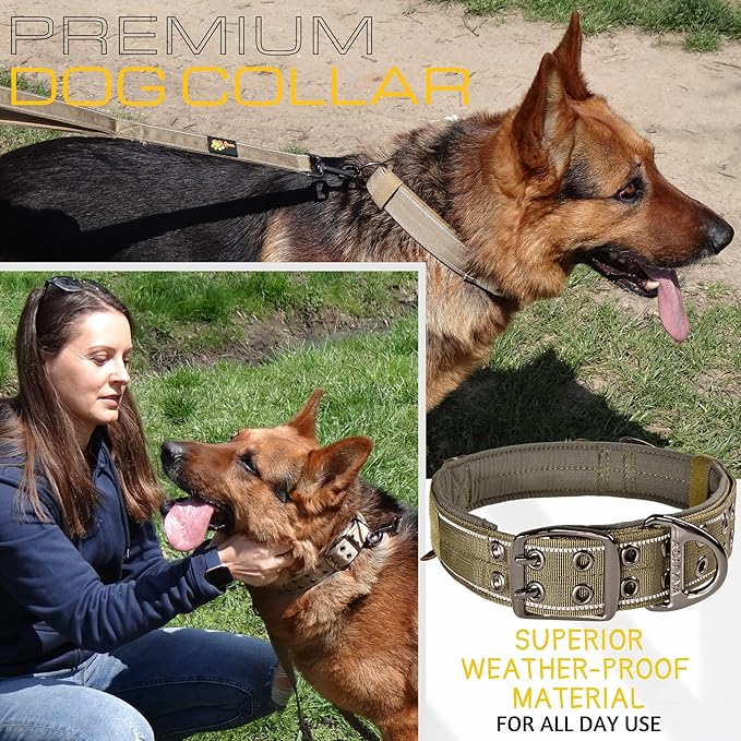 ADITYNA Heavy Duty Dog Collar for Medium Dogs - Reflective Green Collar with Handle for Training, and Walking - Wide, Thick, Tactical, Soft Neoprene Padded