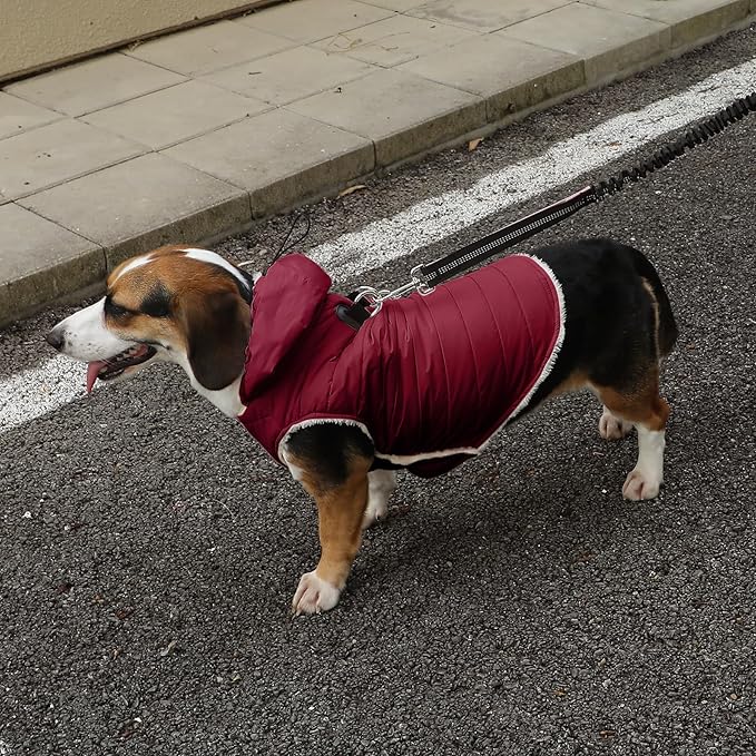 Fleece Lining Dog Hoodie with Harness Built in,Extra Warm Small Dog Jacket in Winter Puppy Coats with Drawstring Hooded,Red XS