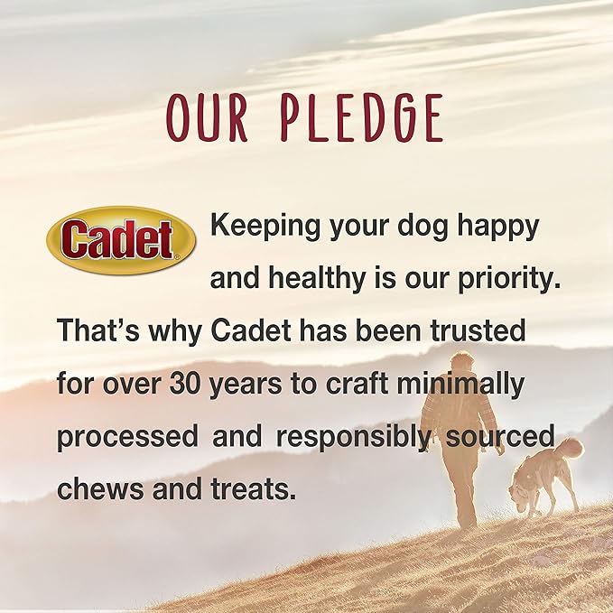 Cadet Gourmet Duck Breast Dog Treats - Healthy & Natural Dog Training Treats for Small & Large Dogs - Inspected & Tested in USA (3 oz.)