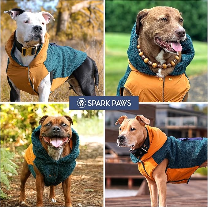Spark Paws Reversible Dog Sweater, Sherpa Vest with Warm Fleece Lining, Warm Coat for Winter, Suitable for Small Medium, Large, XL XXL Dogs - Orange and Green - L