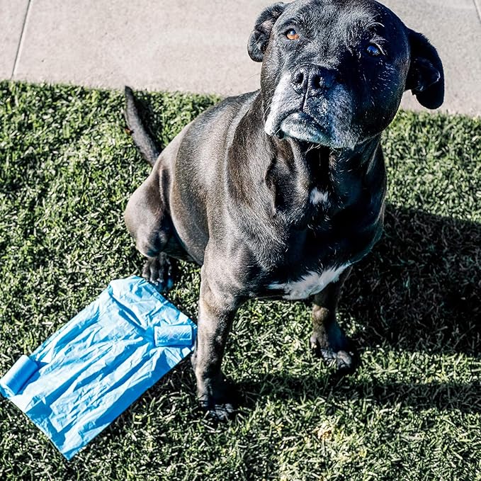 Wooflinen 100% Compostable Dog Poop Bags - EN13432 Home Compost Certified Dog Waste Bags, 720 Count (48 Rolls), Made from Corn - Easy Open - Large, Thick Poop Bags for Dogs
