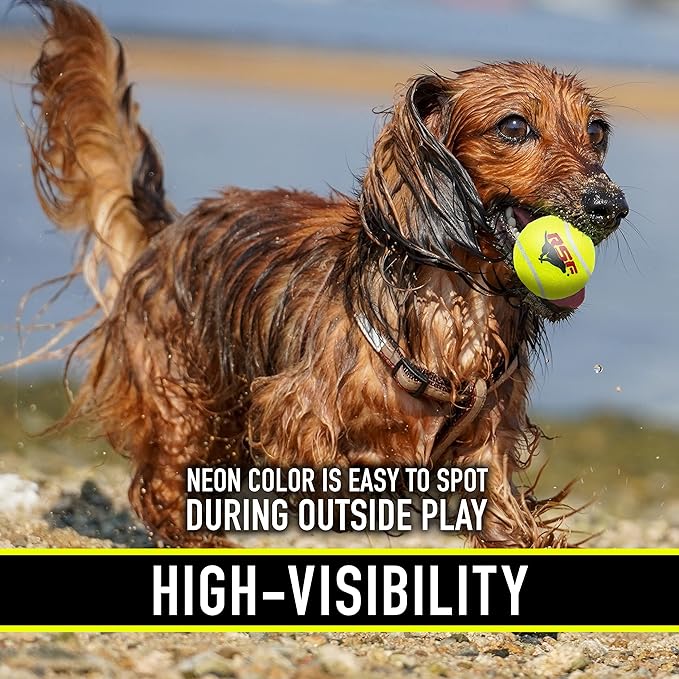 Franklin Pet Supply Co. RSF Squeak Mini 1.75" Tennis Balls - Dog Toy Squeaks When Squeezed - 12 Pack - For Small Dogs - Squeaker Noise
