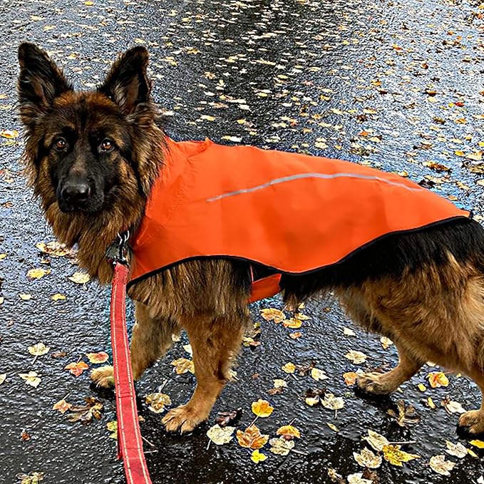 Mile High Life Dog Raincoat, Adjustable Waterproof Reflective Rain Jacket for Small Medium Large Dogs, Lightweight Breathable Pet Rain Coat with Leash Hole(Orange,S Chest 22-25")