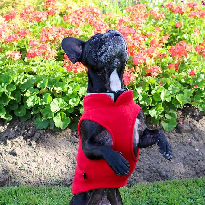 JACKO & CO - Fleece Vest Dog Sweater with Leash Ring - Soft, Warm & Lightweight Pullover Coat for Small & Medium Dogs, Puppies & Cats - Cozy Fall/Winter/Spring Pet Jacket (Red, Medium 6-10lbs)