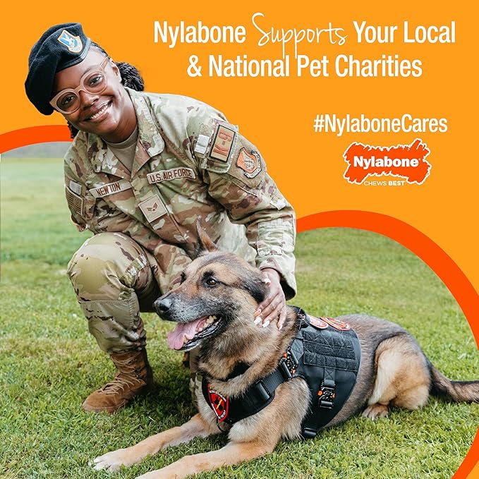 Nylabone Limited Edition 70th Birthday Donut Power Chew Toy for Dogs, Durable & Tough Dog Toys for Aggressive Chewers, Pumpkin & Peanut Butter Flavor, Large - Up to 50 lbs (1 Count)