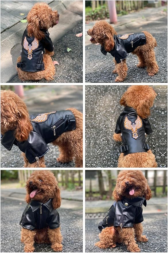 Lovelonglong Cool Dog Leather Jacket, Warm Coats Dogs Windproof Cold Weather Coats for Large Medium Small Dogs with Eagle Embroidery Black M