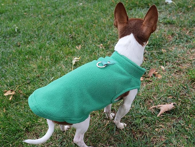 JACKO & CO - Fleece Vest Dog Sweater with Leash Ring - Soft, Warm & Lightweight Pullover Coat for Small & Medium Dogs, Puppies & Cats - Cozy Fall/Winter/Spring Pet Jacket (Green, Small 4-6lbs)