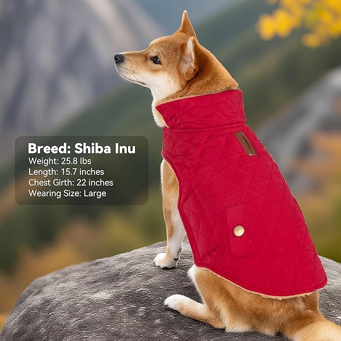 Dog Coat, Warm Windproof Dog Coats for Large Dogs Boy, Waterproof Pet Winter Jacket, Cold Weather Clothes Dogs Snowsuit with Leash Hole, Red XXX-Large