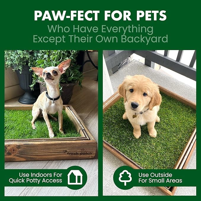 Fresh Patch Real Grass Patch for Dogs, Cats, and Small-Medium Pets Under 15 Pounds – Disposable Pet Grass Pee Pads – Indoor and Outdoor Potty Training Mat (16 Inches x 24 Inches)