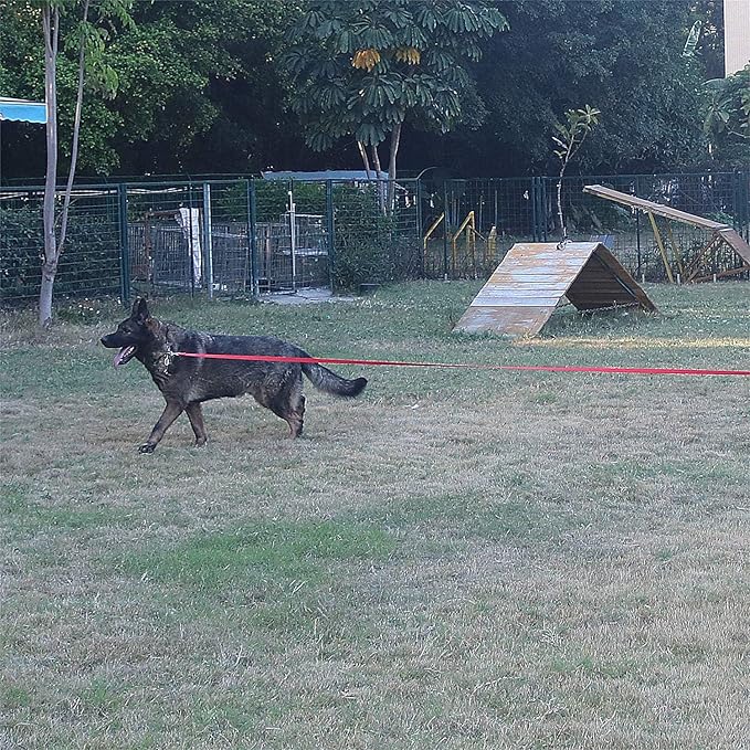 Dog/Puppy Obedience Recall Training Agility Lead - 15ft 20ft 30ft 40ft 50ft Training Leash - Great for Play, Camping, or Backyard (Rainbow, 20 Feet)