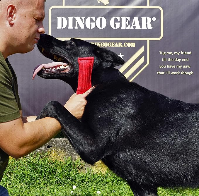 Dingo Gear French Linen tug Toy for Dog, Dog Bumper for Training, Agility, tug of war, Dog bite Pillow for Strong Dog, 1handle 8" red S00070