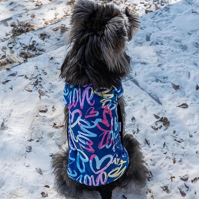 CuteBone Winter Dog Jacket - Waterproof Windproof Reversible Vest with Leash Hole for Small to Large Dogs