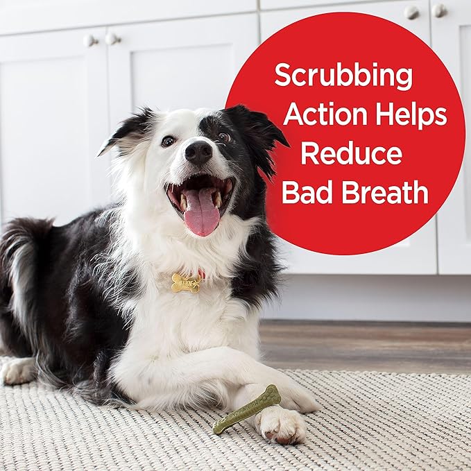 Milk-Bone Fresh Breath Brushing Chews, 9 Small/ Medium Daily Dental Dog Treats (Pack of 5) Scrubbing Action Helps Clean Teeth