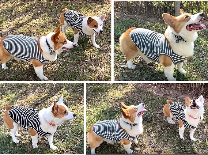 Koneseve Dog Shirt Vest Lightweight Stretchy Dog T-Shirts Soft Cool Sleeveless Stripe Vests Breathable Clothes for Puppy Kitty Cats Small Medium Large Dogs 2 Pack Black + Grey [ L/Large ]
