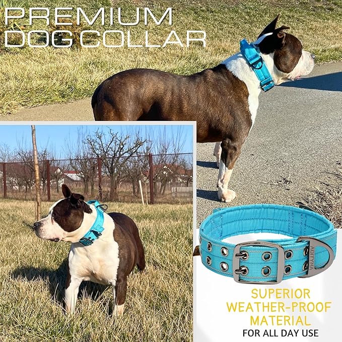 ADITYNA Heavy Duty Dog Collar for Large Dogs - Reflective Blue Collar with Handle for Training, and Walking - Wide, Thick, Tactical, Soft Neoprene Padded