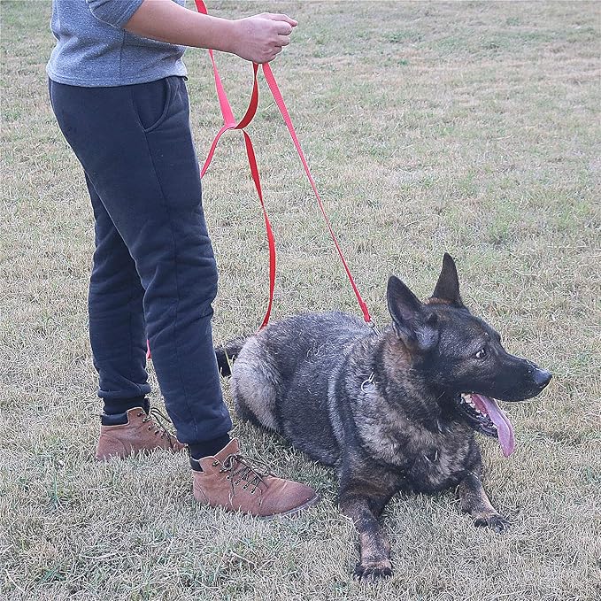 Dog/Puppy Obedience Recall Training Agility Lead - 15ft Long Training Leash，3/4in Wide - Great for Play, Camping, or Backyard (15Feet, Purple)