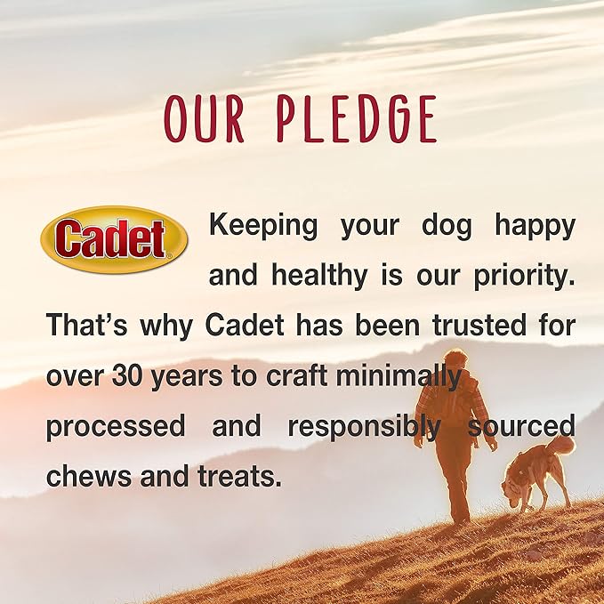 Cadet Bully Sticks for Small Dogs – All-Natural Beef Pizzle, High Protein, Low Fat, Long-Lasting, Grain & Rawhide-Free Dog Chews for Aggressive Chewers, Small (6 Ounce)