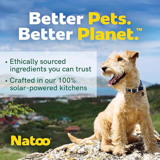 NATOO Healthy Treats for Large Dogs, Crunchy Biscuits Coconut & Mango Flavor – Natural Dog Treats, Rich in Omega 6, Prebiotics & Fiber, Antioxidants for Immunity (8 oz)