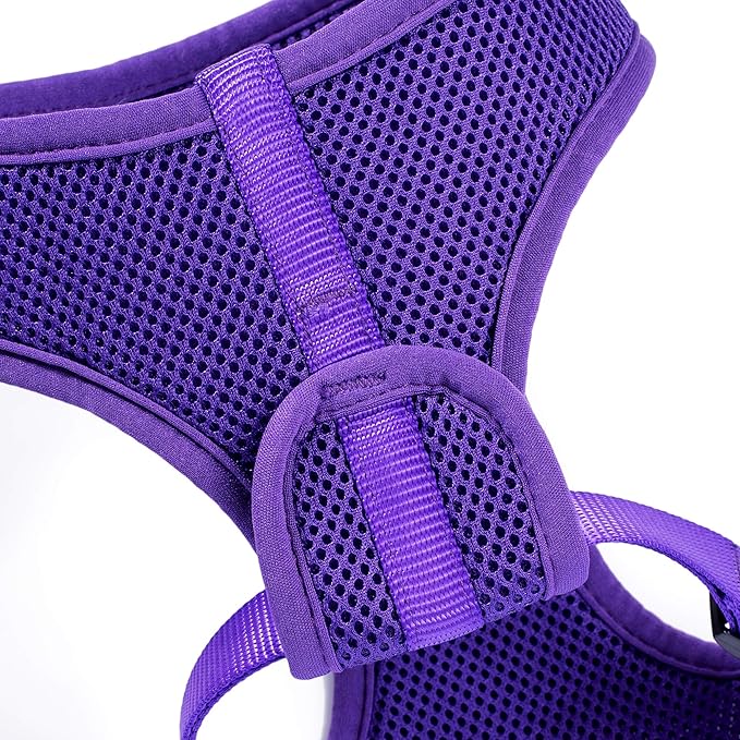 Mile High Life Step in Dog Harness for Small Dogs No Pull, Easy Get on Air Mesh Vest Harness, Adjustable Easy Closures Both Neck and Chest (Purple, L Chest 21.6"-43.2")