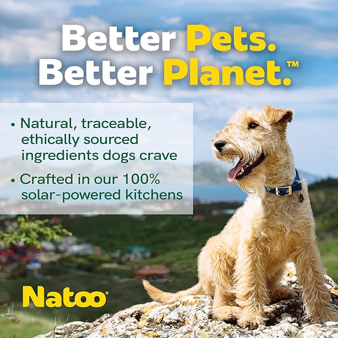 NATOO Dog Food Topper for Picky Eaters & Dog Treat (Salmon with Pumpkin), Dog Toppers for Dry Food, Wet Meal Toppers for Dogs & Puppies, Limited Ingredient Dog Food, (Case of 20) 3 oz Each