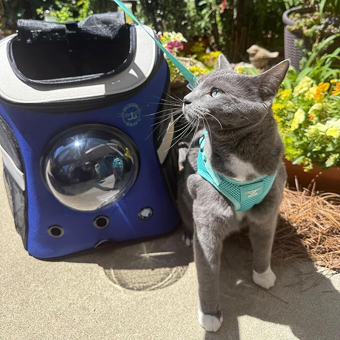 Travel Cat x Jackson Galaxy Harness and Leash Set - Adjustable Fit Mesh Cat Harness with Nylon Leash - Comfort, Escape Proof Harness for Cats, Kitten for Outdoor Walking, Hiking (Small)