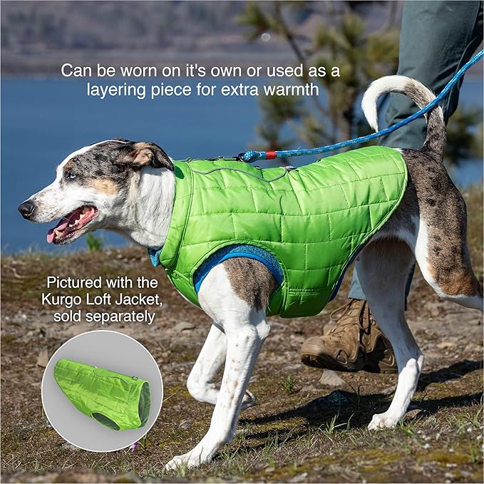 Kurgo Core Dog Sweater, Knit Dog Sweater with Fleece Lining, Cold Weather Pet Jacket, Zipper Opening for Harness, Adjustable Neck, Year-Round Sweater for Medium Dogs (Heather Black, Medium)