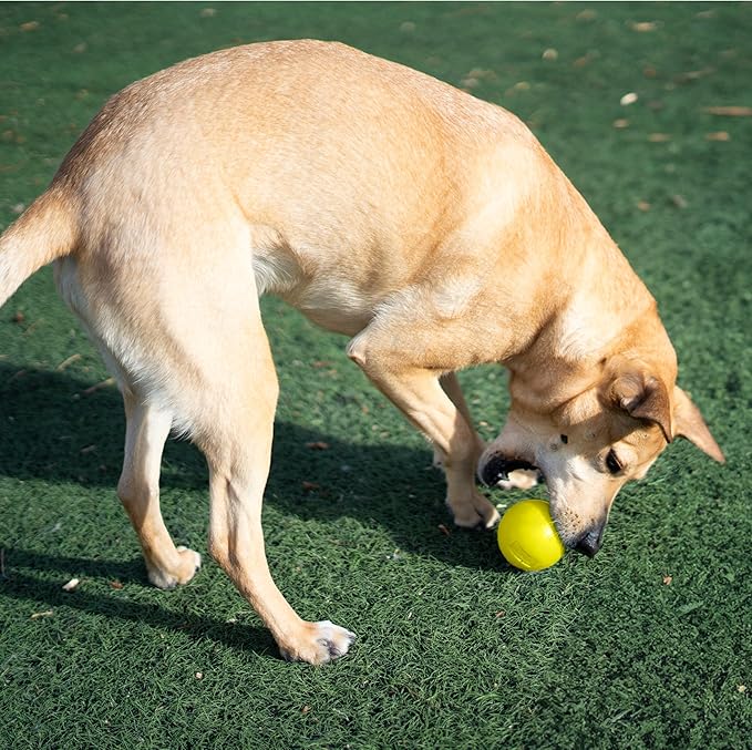 Outward Hound by Planet Dog Squeak Ball Bouncy Fetch Dog Toy, Yellow