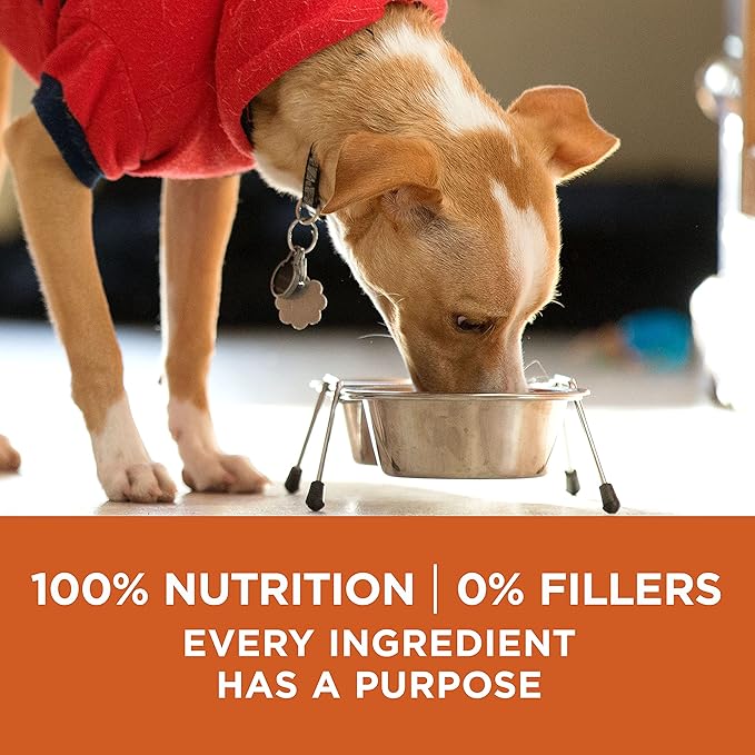 Purina ONE Plus Healthy Weight High-Protein Dog Food Dry Formula - 8 lb. Bag