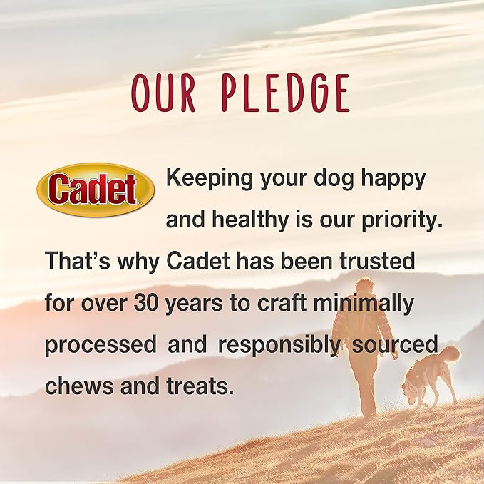Cadet Gourmet Chicken Breast Dog Treats - Healthy & Natural Chicken Dog Training Treats for Small & Large Dogs - Inspected & Tested in USA (14 oz.)