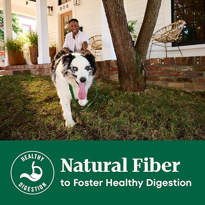 Nutro Natural Choice Chicken & Brown Rice Adult Large Breed Dog Food Dry Recipe, 36 lb. Bag