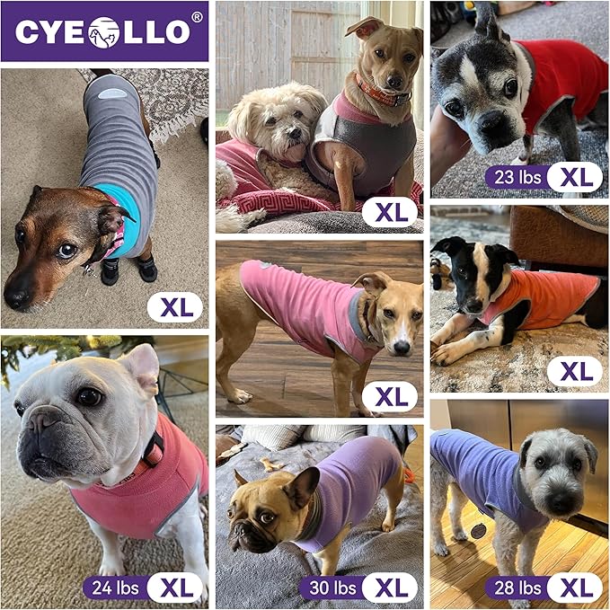 cyeollo 2 Pack Fleece Dog Sweater Vest Dog Sweatshirt Reflective Lightweight Pet Clothes for Small Dogs Girl Pet Apparel Pink, Fuschia, XL