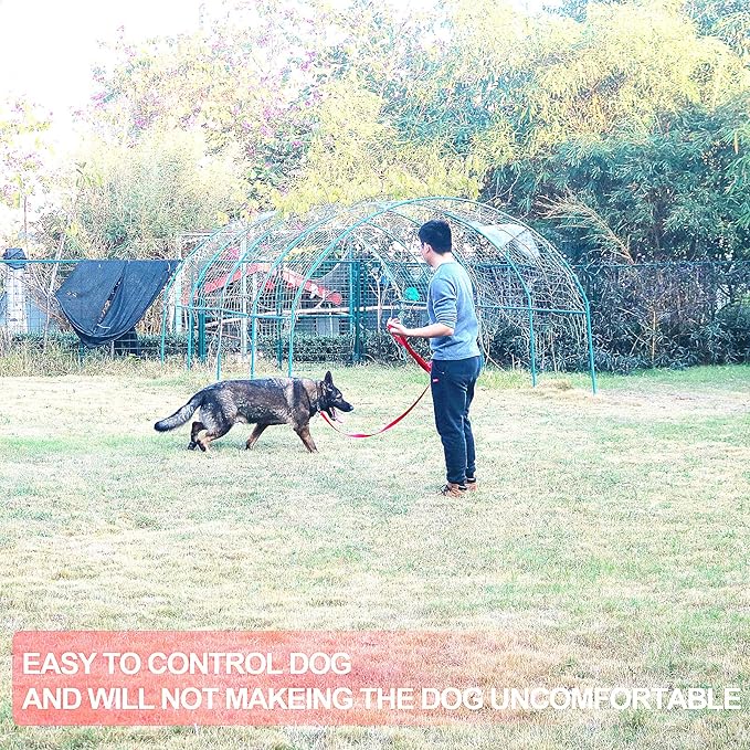 Dog/Puppy Obedience Recall Training Agility Lead -15ft 20ft 30ft 40ft 50ft Training Leash - Great for Play, Camping, or Backyard - Purple 50ft